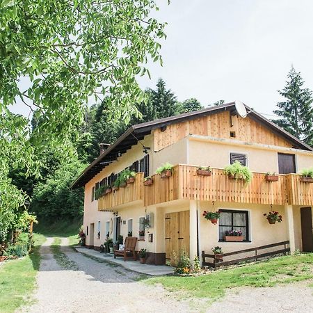 Pocitniska Hisa Pologar Pensionat Tolmin Exteriör bild