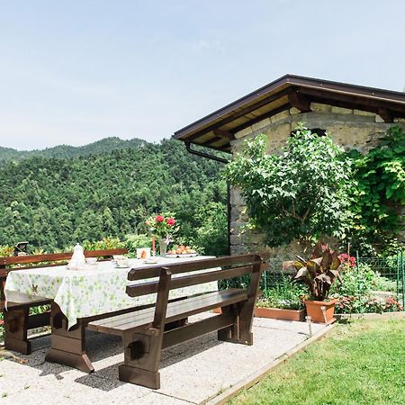 Pocitniska Hisa Pologar Pensionat Tolmin Exteriör bild