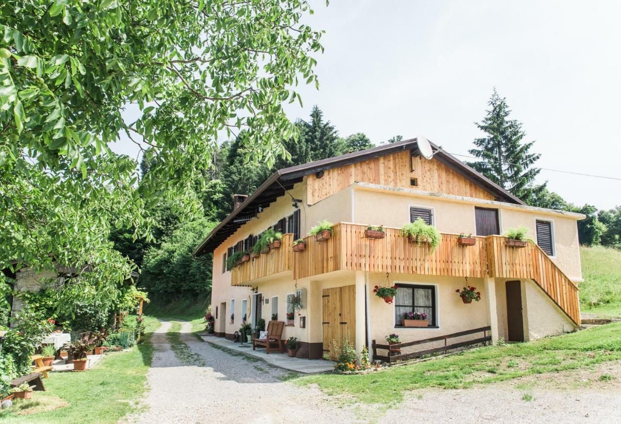 Pocitniska Hisa Pologar Pensionat Tolmin Exteriör bild
